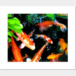 Koi Pond Lovers Japanese Gardens Beautiful Fish Posters and Art